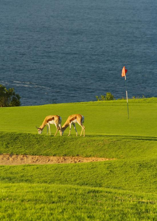 Mossel Bay Golf Lodge Zewnętrze zdjęcie